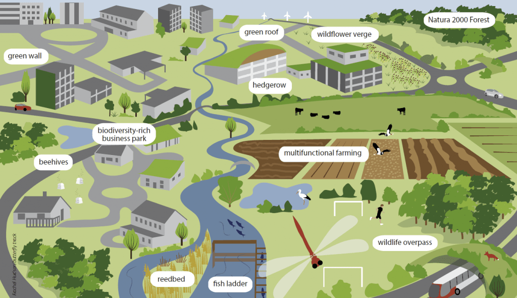 SUSTAINABILITY AND SUSTAINABLE DEVELOPMENT-Assistant Professor: Jaynandhini, M.Arch